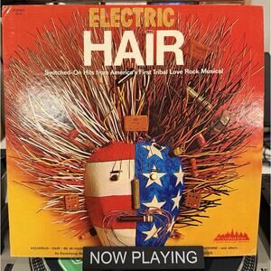 Electric Hair LP Evolution Records Moog Synthesizer Robert Byrne Love Rock Music